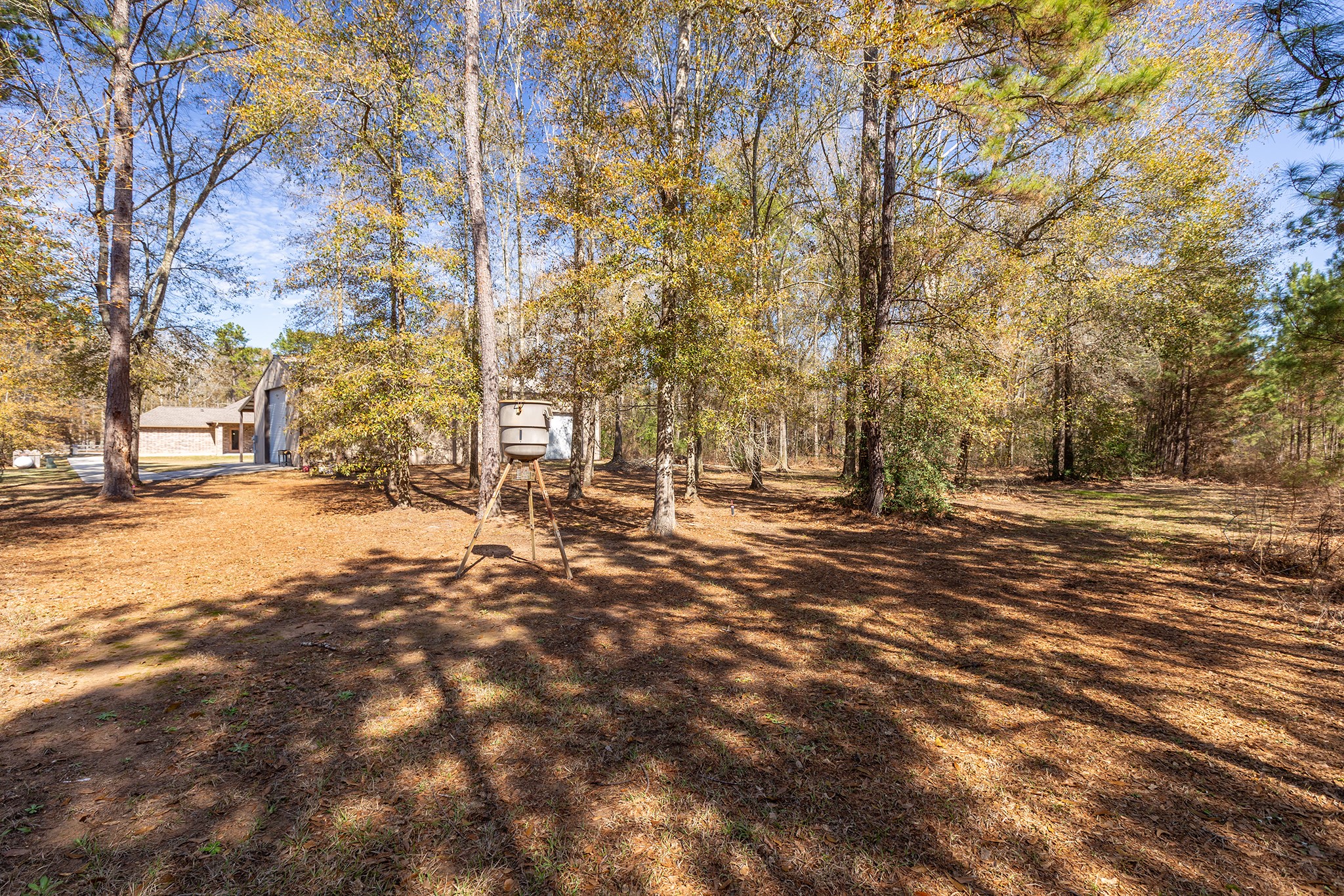 27688 Rio Blanco Drive Splendora, TX 77372 - Photo 47 of 50 a view of road with trees