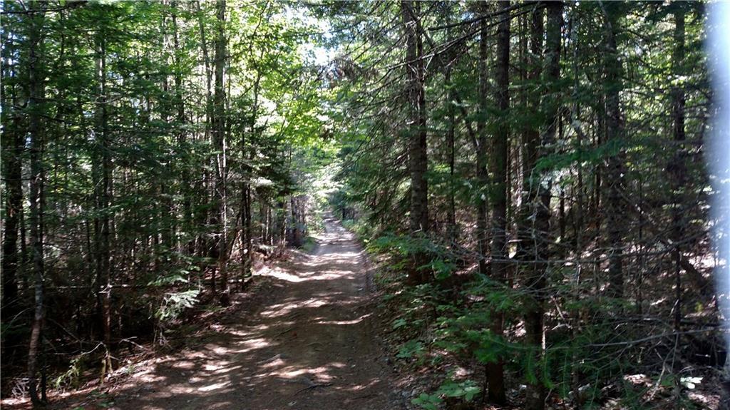 75 Potter Brook Road Winn, ME 04495 - Photo 3 of 5 Photo
