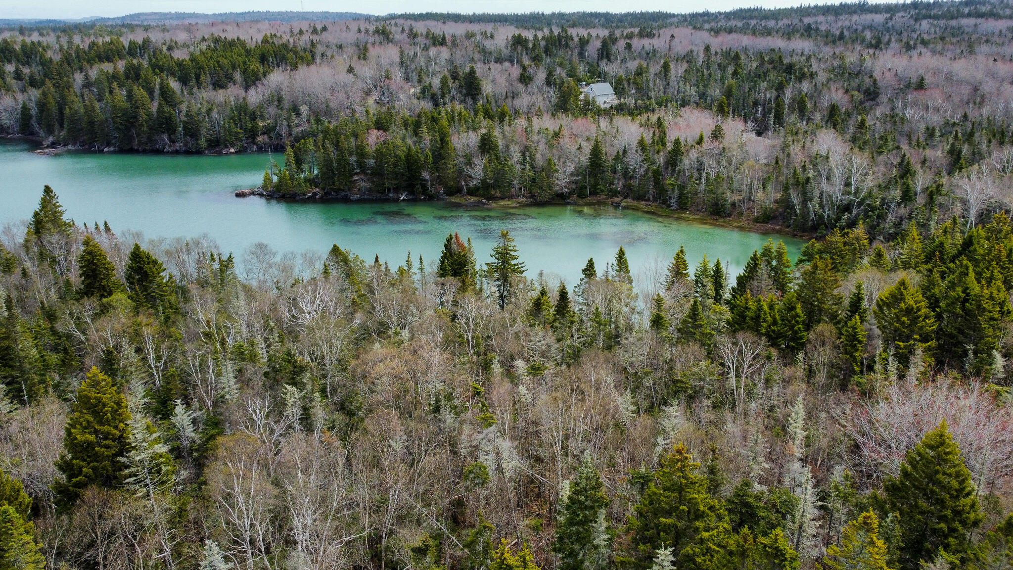Lot 46 Yoho Head Road Machiasport, ME 04655 - Photo 4 of 22 4