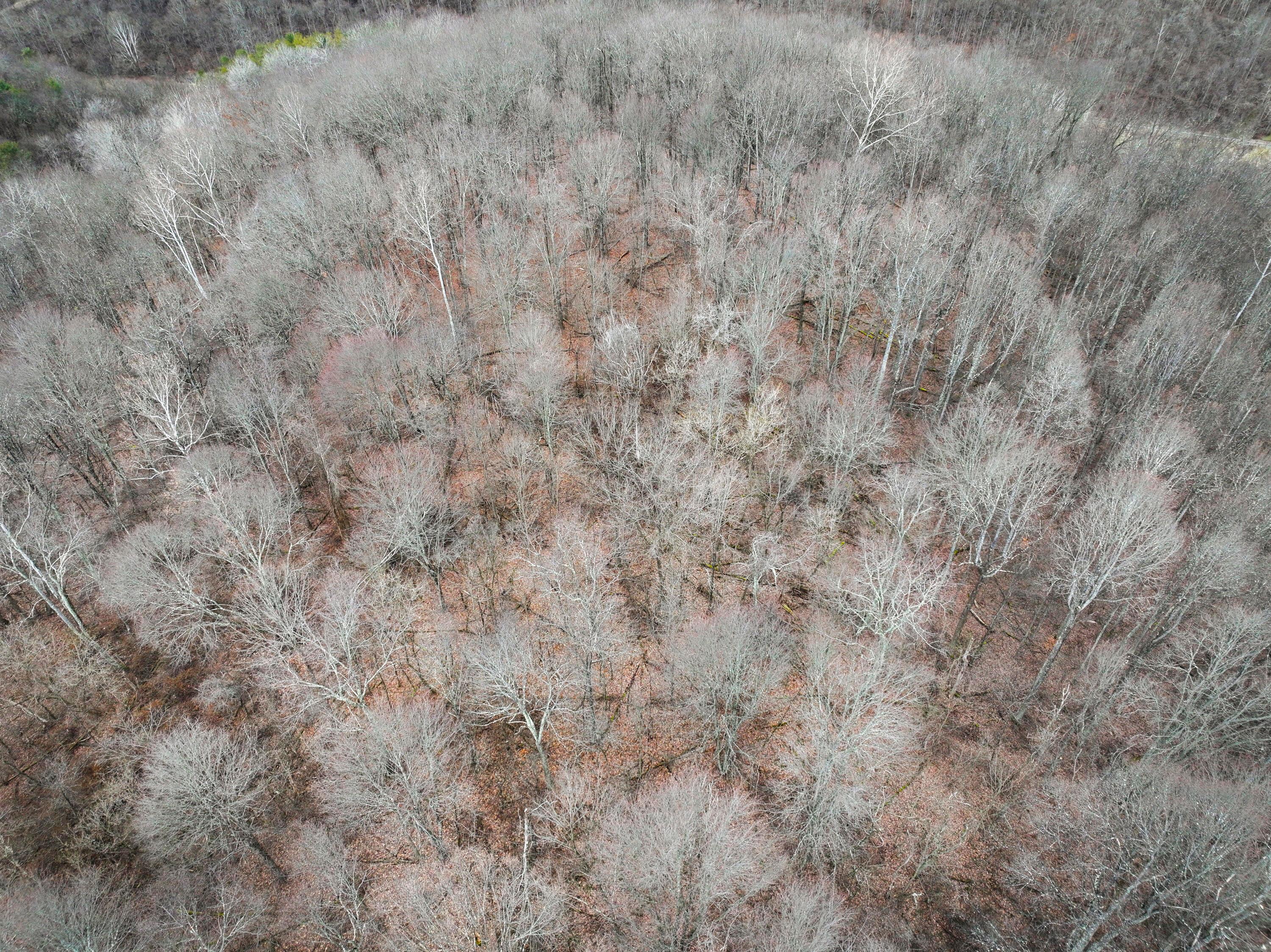 13 Ayers Ridge Road Lower Salem, OH 45745 - Photo 20 of 32 Tract 13_TD-21