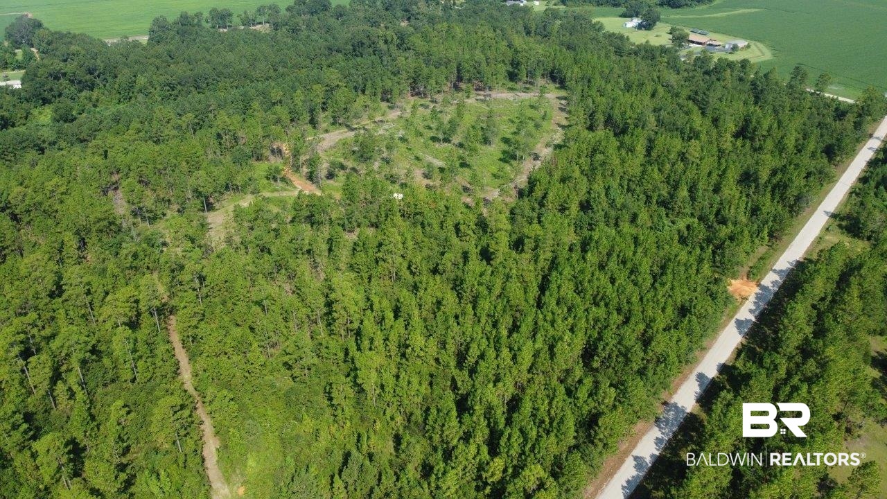 0 Jerkins Loop Atmore, AL 36502 - Photo 4 of 50