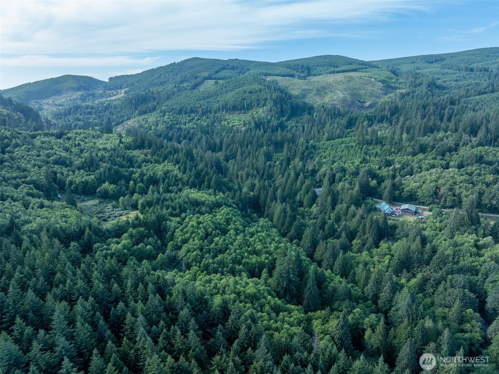 0 North Dubois Road Ariel, WA 98603 - Photo 17 of 19