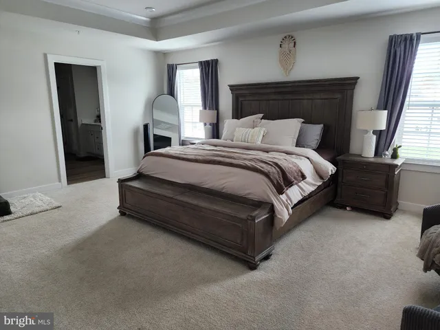 a room with window and potted plant