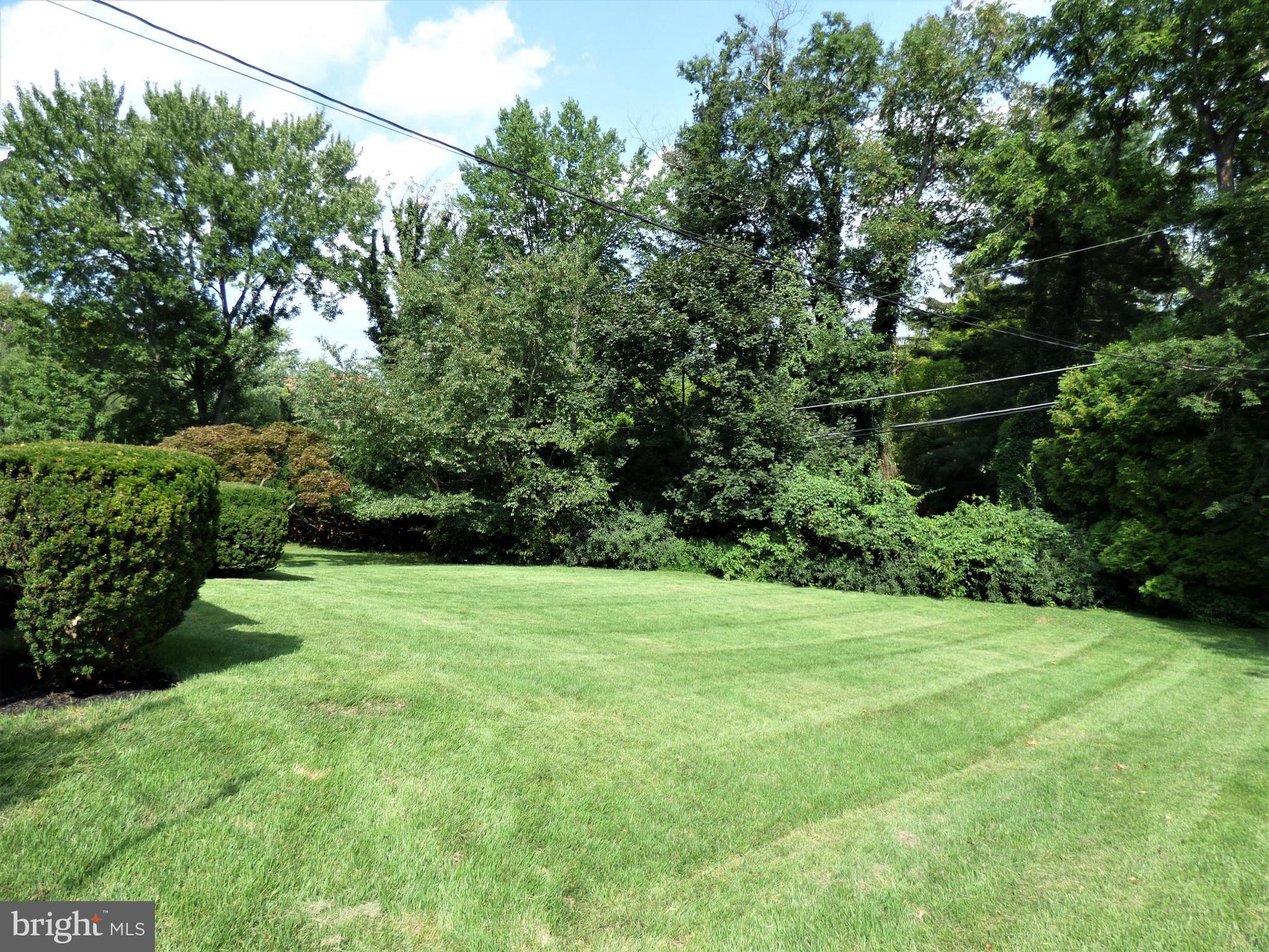8033 Hammond Road Cheltenham, PA 19012 - Photo 32 of 38 Rear Yard Surrounded by Mature Trees