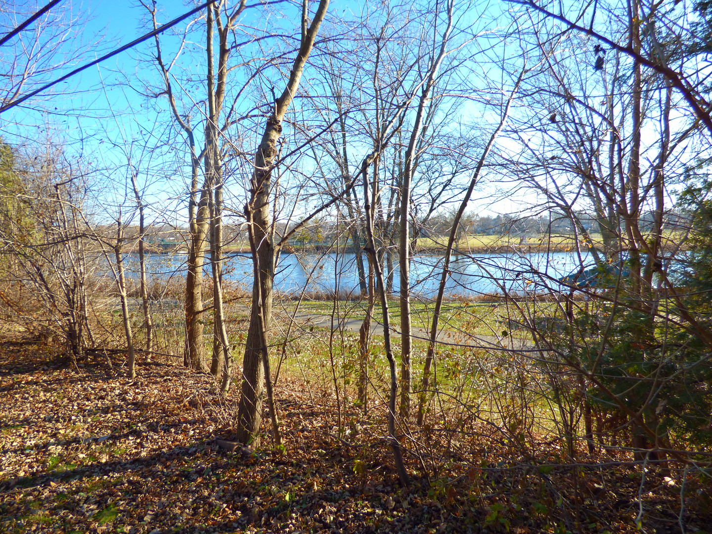 1345 Hassell Drive Hoffman Estates, IL 60169 - Photo 31 of 36 a view of back yard
