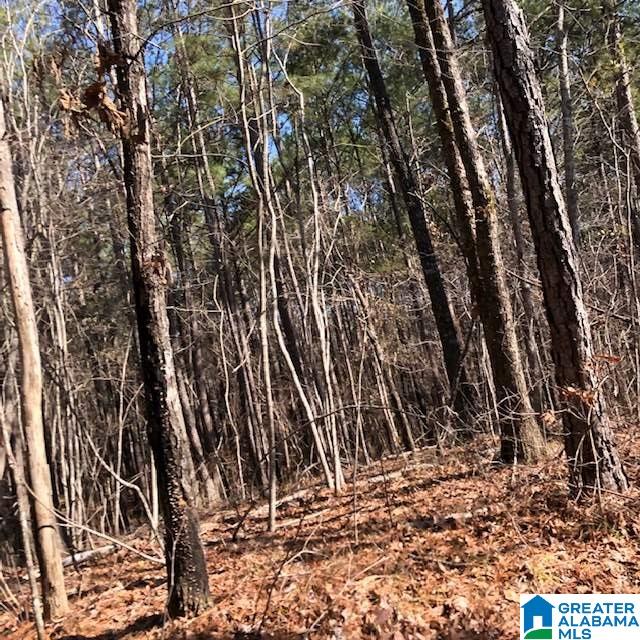 0 Blackjack Road, Unit 24 Trussville, AL 35173 - Photo 15 of 21