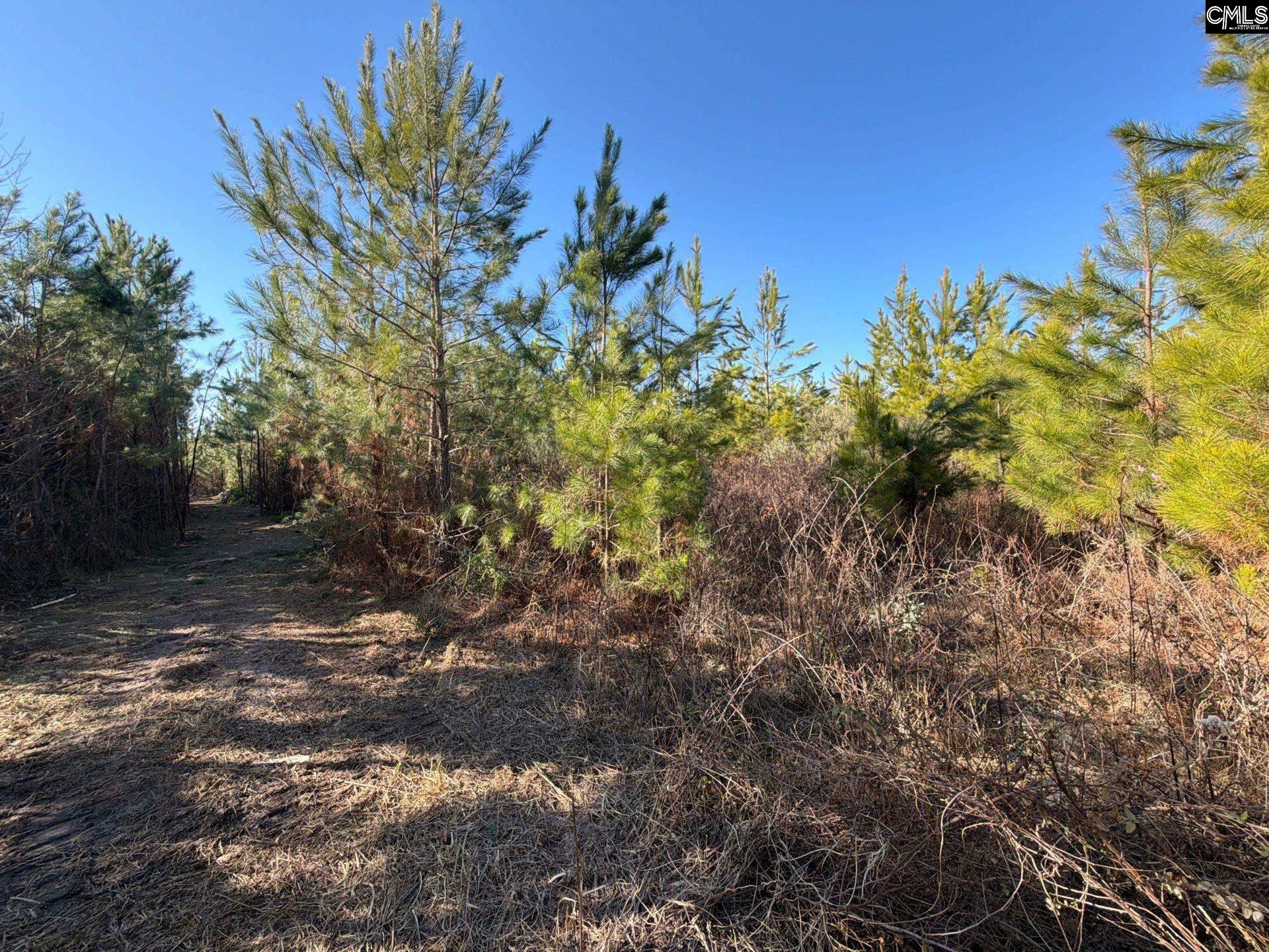 6 Brunson Teal Road, Unit BFF II 6 Patrick, SC 29584 - Photo 16 of 19