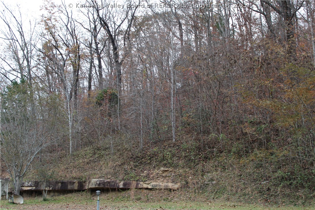 145 Foggy Ridge Road Madison, WV 25130 - Photo 9 of 29 Gallery Image 9