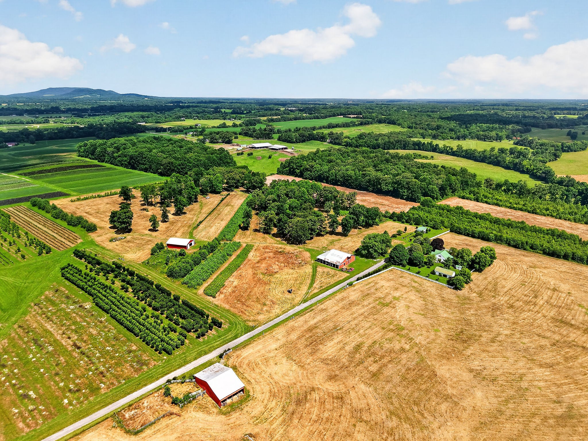 1600 Magness Road McMinnville, TN 37110 - Photo 54 of 63