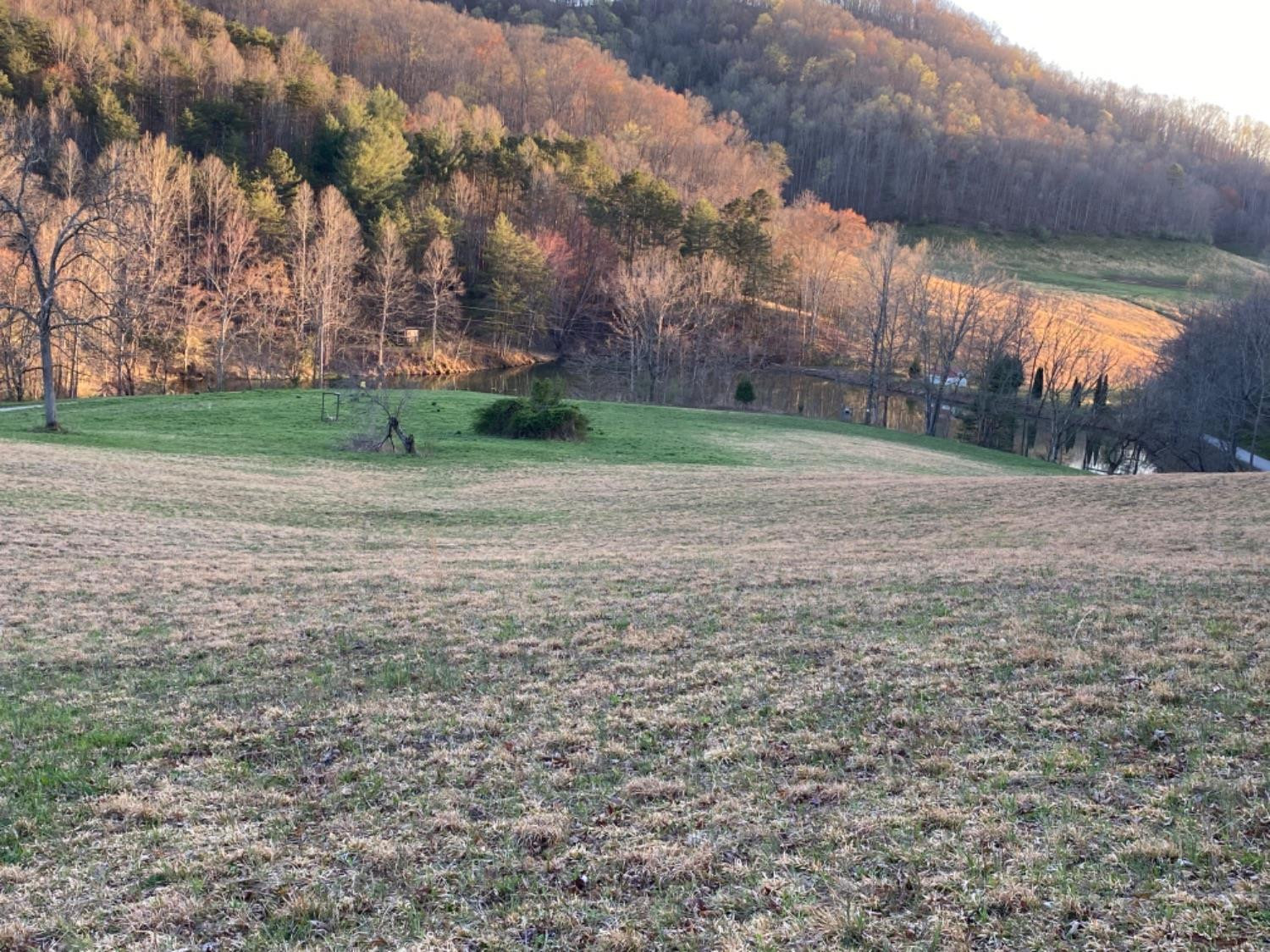 1111 Powell Branch Road Bimble, KY 40915 - Photo 7 of 19 Photo 7