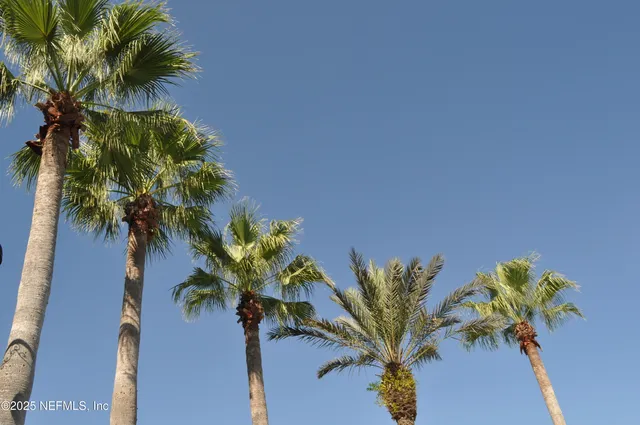 a view of a plant in a of a vase with white flowers