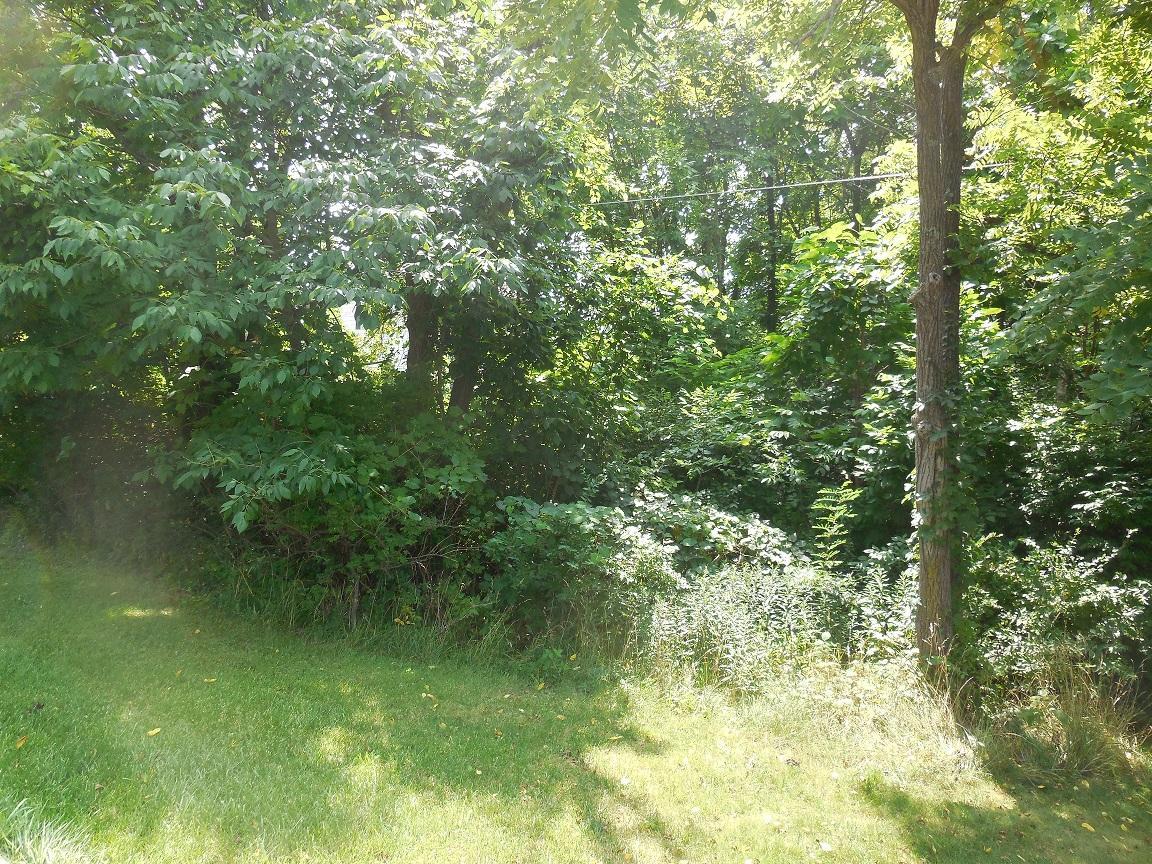 6919 Cook Road Powell, OH 43065 - Photo 21 of 22 Gallery Image 21