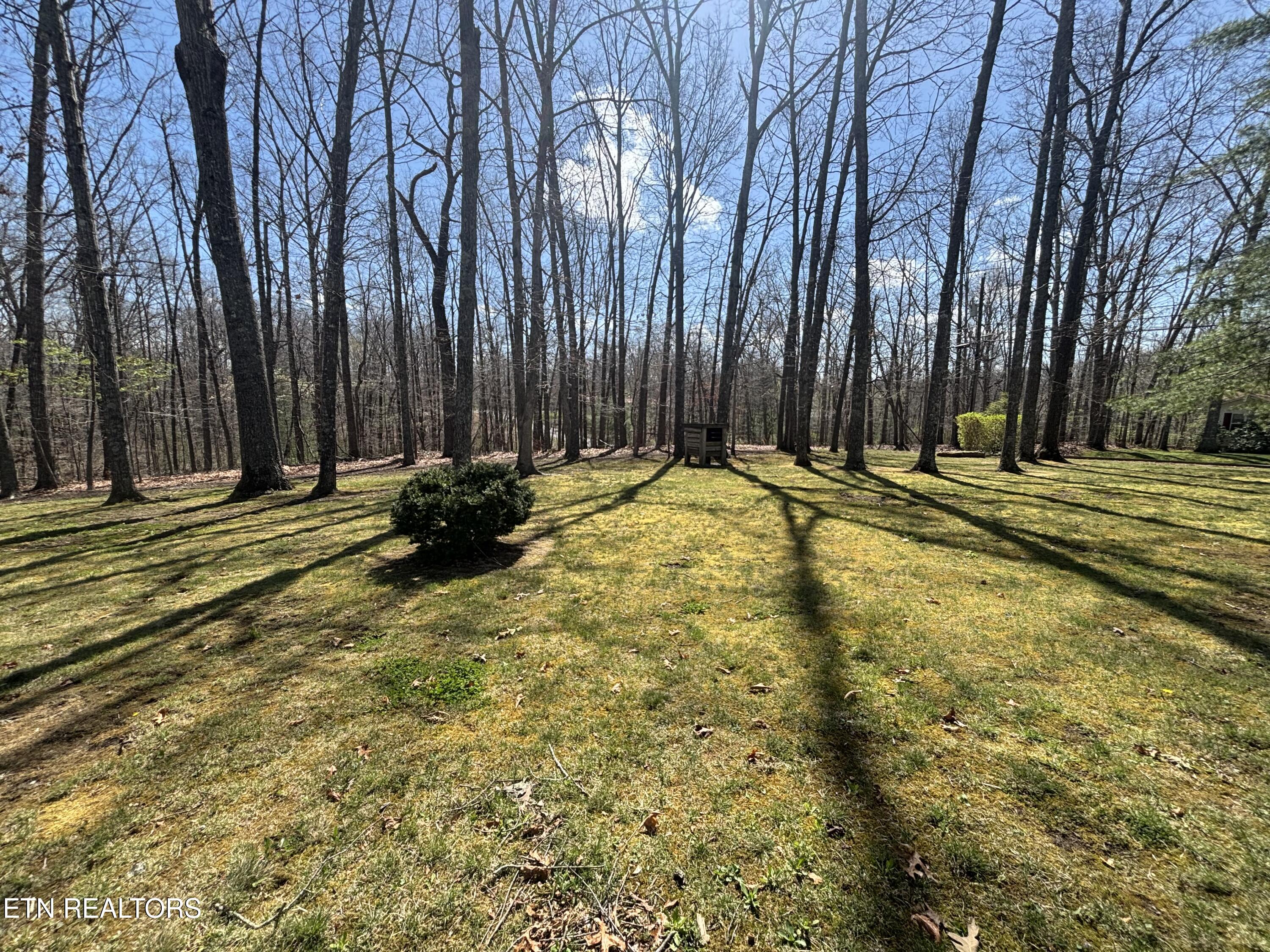 6021 Osage Road Crossville, TN 38572 - Photo 29 of 33 Yard