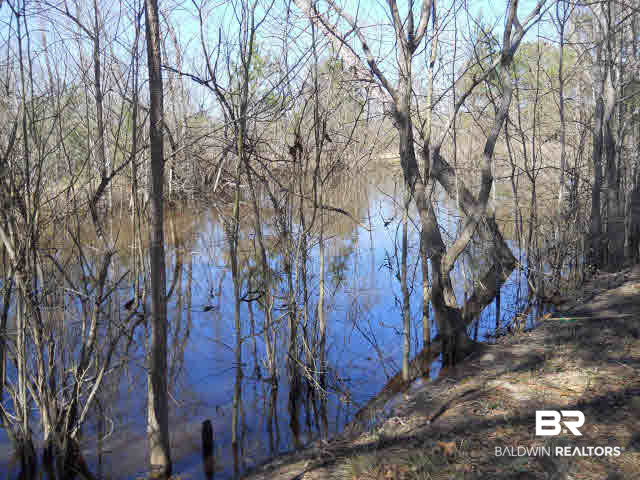1170 Jay Road Brewton, AL 36426 - Photo 5 of 13 Lake
