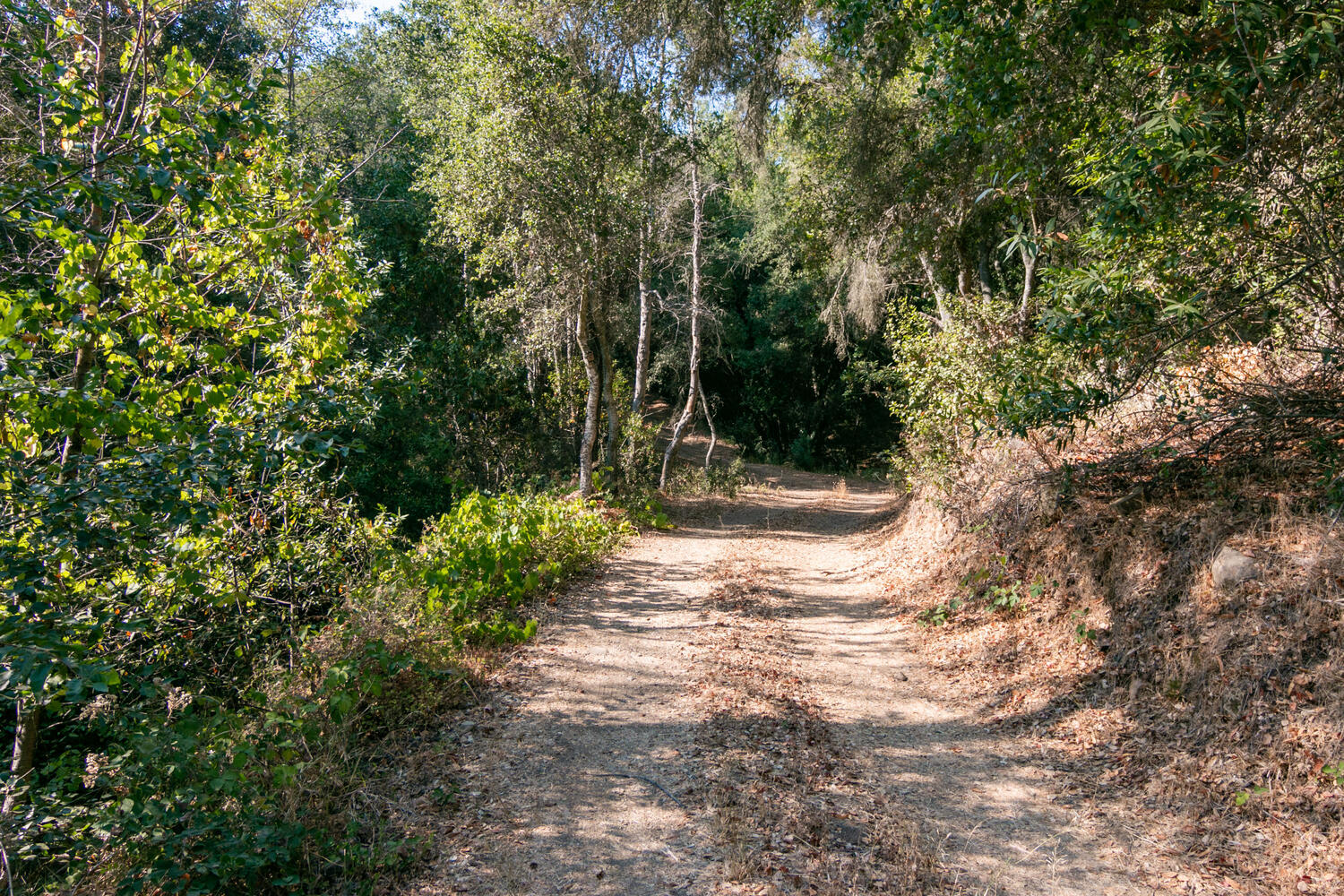 9 Kinevan Road Santa Barbara, CA 93105 - Photo 39 of 52 9 Kinevan Rd-043-041-Lower Property-MLS_