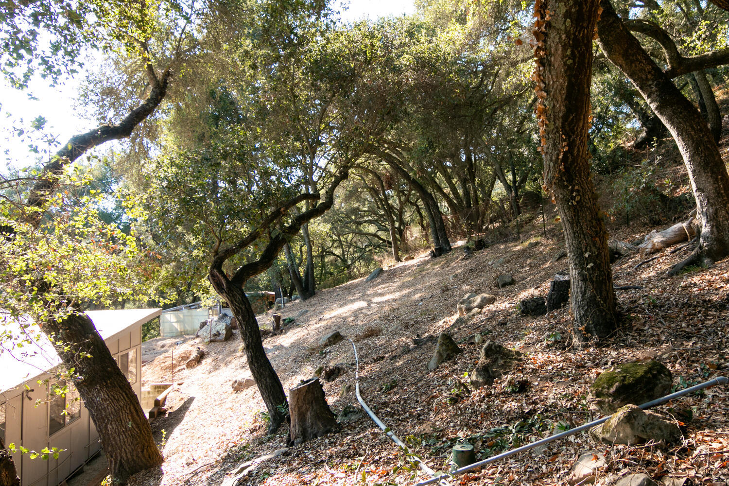 9 Kinevan Road Santa Barbara, CA 93105 - Photo 45 of 52 9 Kinevan Rd-037-016-Property-MLS_Size