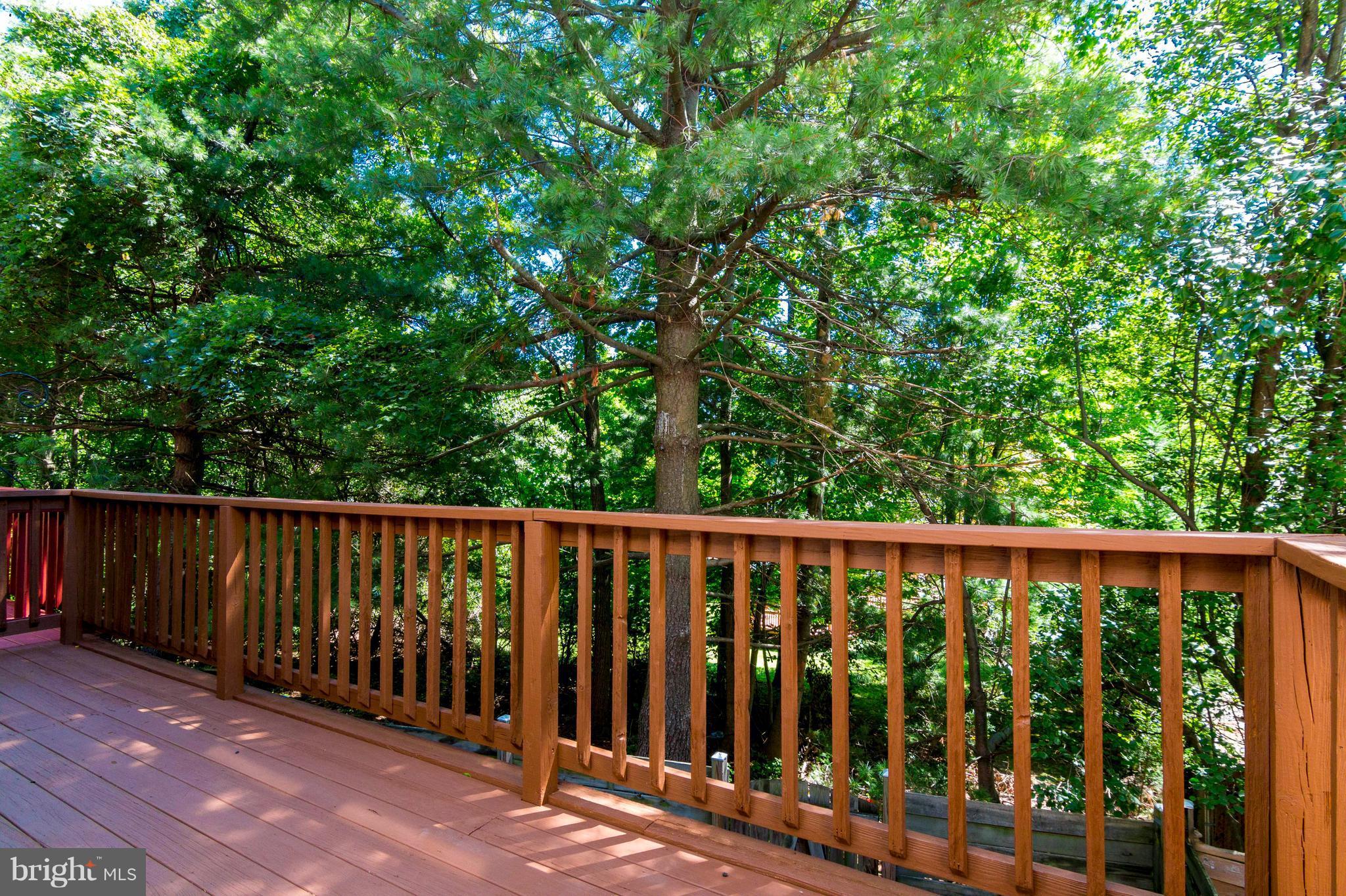 14355 Rosetree Court Silver Spring, MD 20906 - Photo 24 of 24 Deck