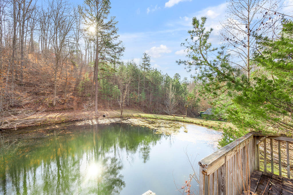 1635 Wiley Branch Road Martha, KY 41159 - Photo 82 of 83 TDB_7051