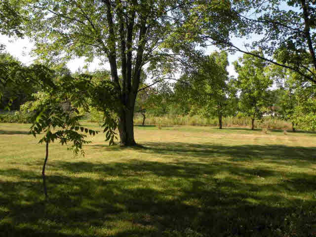 3135 South Fenmore Road Merrill, MI 48637 - Photo 12 of 14 20098406-11.JPG