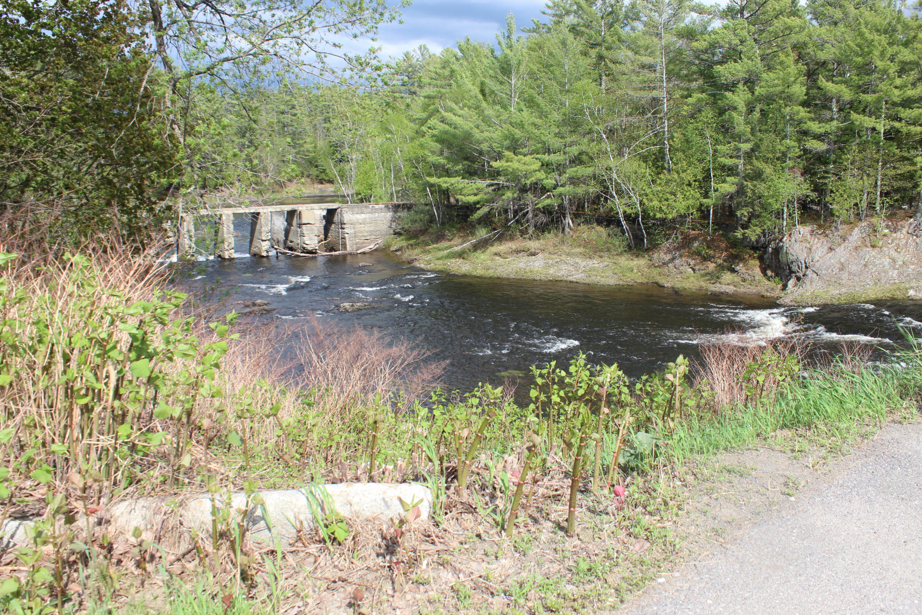 6 Sherman Street Island Falls, ME 04747 - Photo 2 of 34 IMG_7497