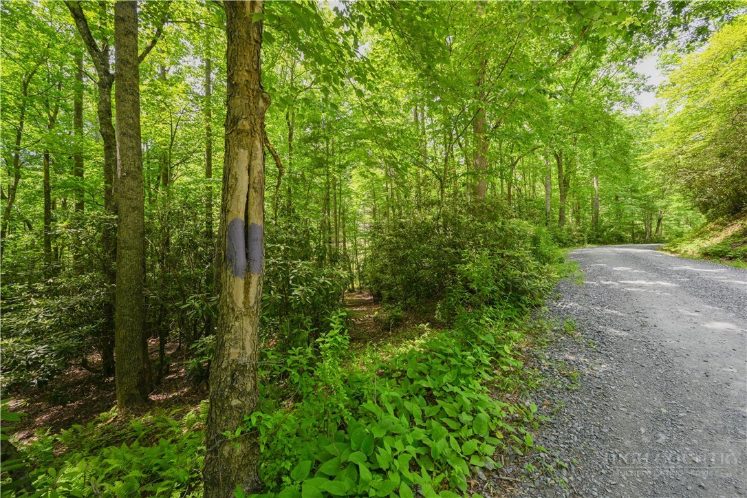 Lot 2 Gusher Knob Road Newland, NC 28657 - Photo 8 of 17