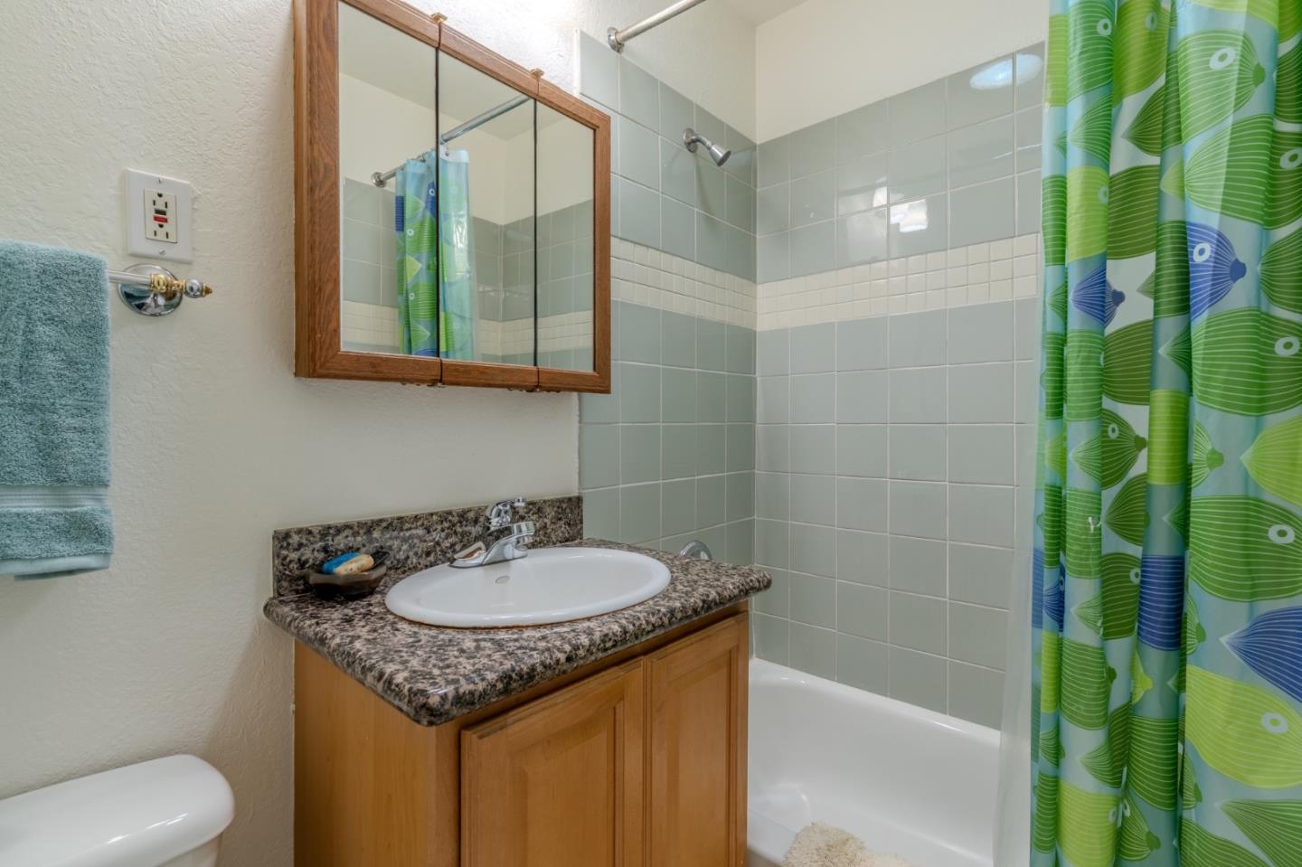 1223 Lerida Way Pacifica, CA 94044 - Photo 16 of 45