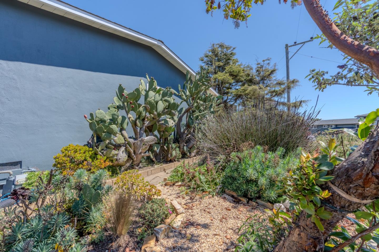 1223 Lerida Way Pacifica, CA 94044 - Photo 5 of 45
