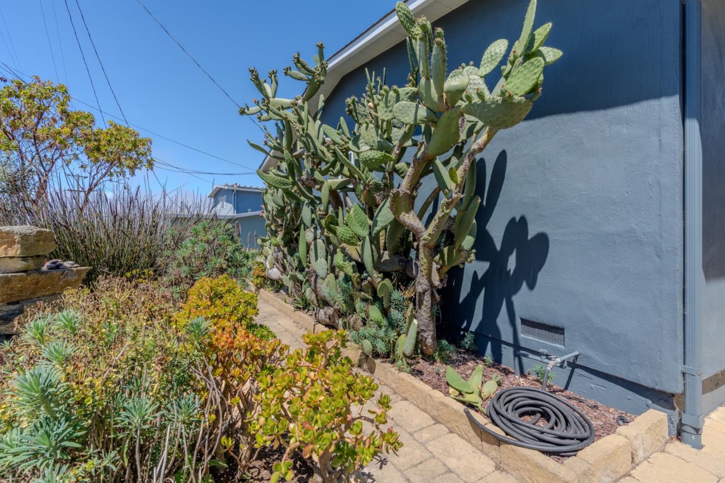1223 Lerida Way Pacifica, CA 94044 - Photo 6 of 45