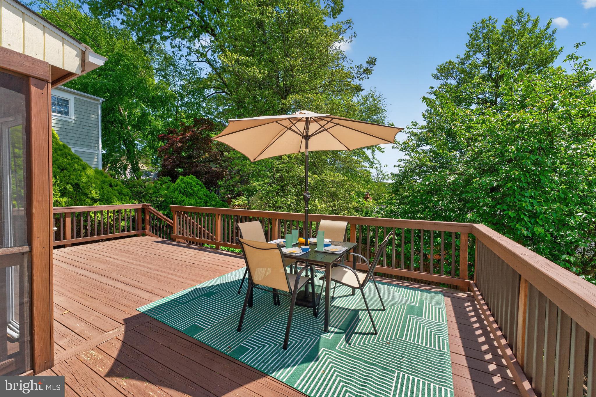 5430 22nd Road North Arlington, VA 22205 - Photo 111 of 135 Spacious Deck - Relax Outside w/ a Coffee or Wine!