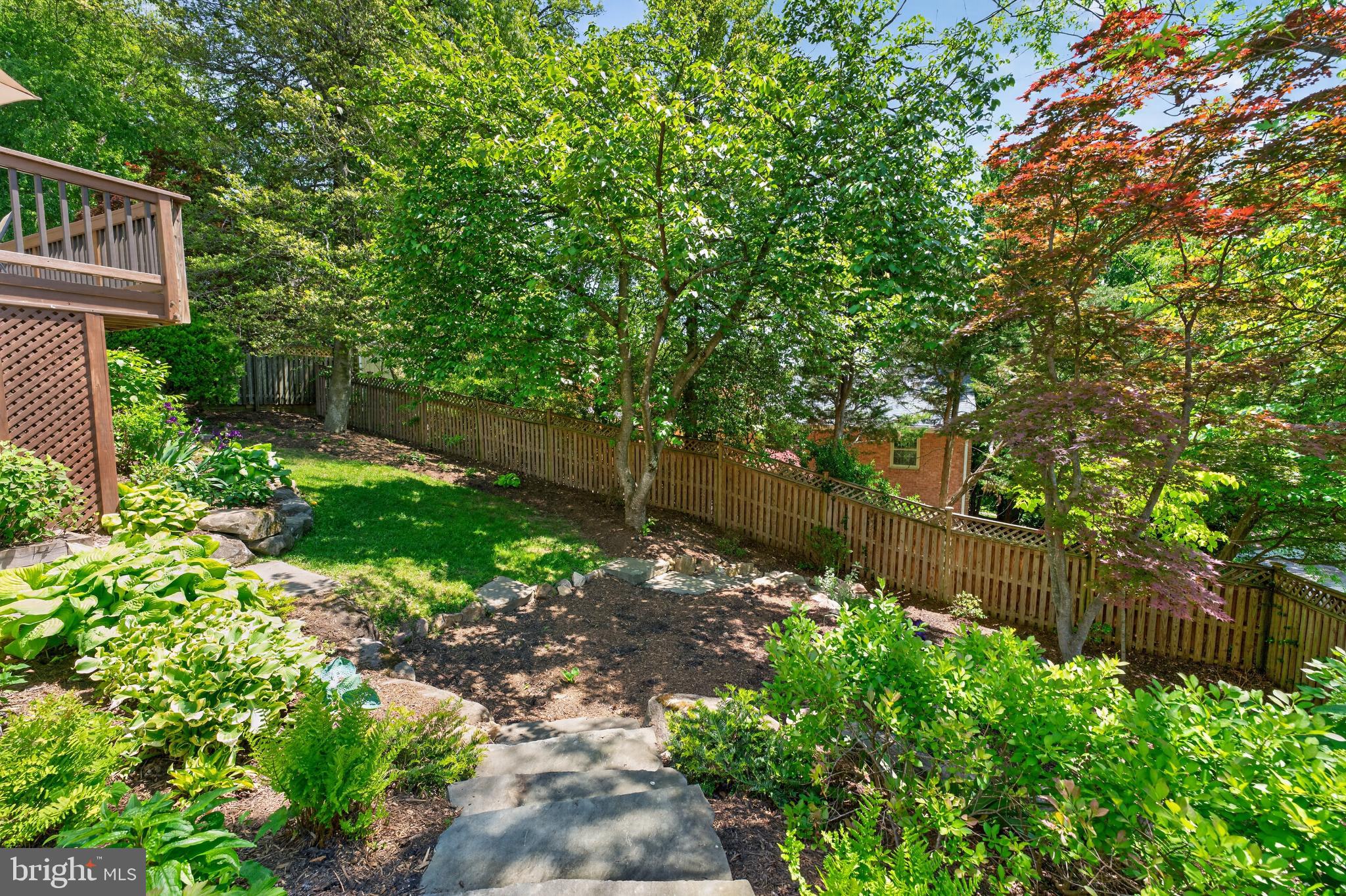 5430 22nd Road North Arlington, VA 22205 - Photo 118 of 135 Mature Trees Add Privacy and Charm!