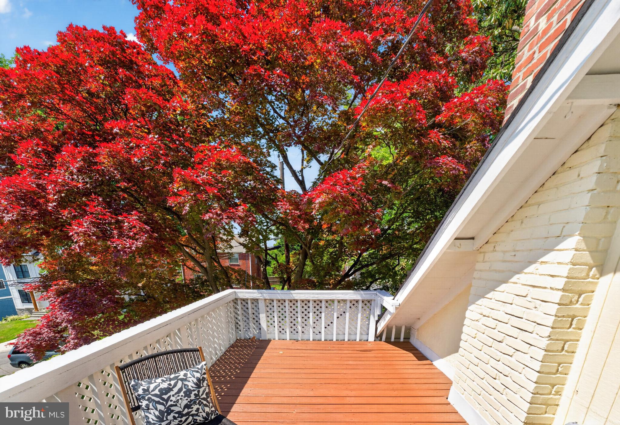 5430 22nd Road North Arlington, VA 22205 - Photo 65 of 135 Beautiful Tree Top Balcony Mornings Start Here!