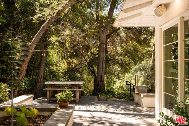 a view of a yard with plants and large trees