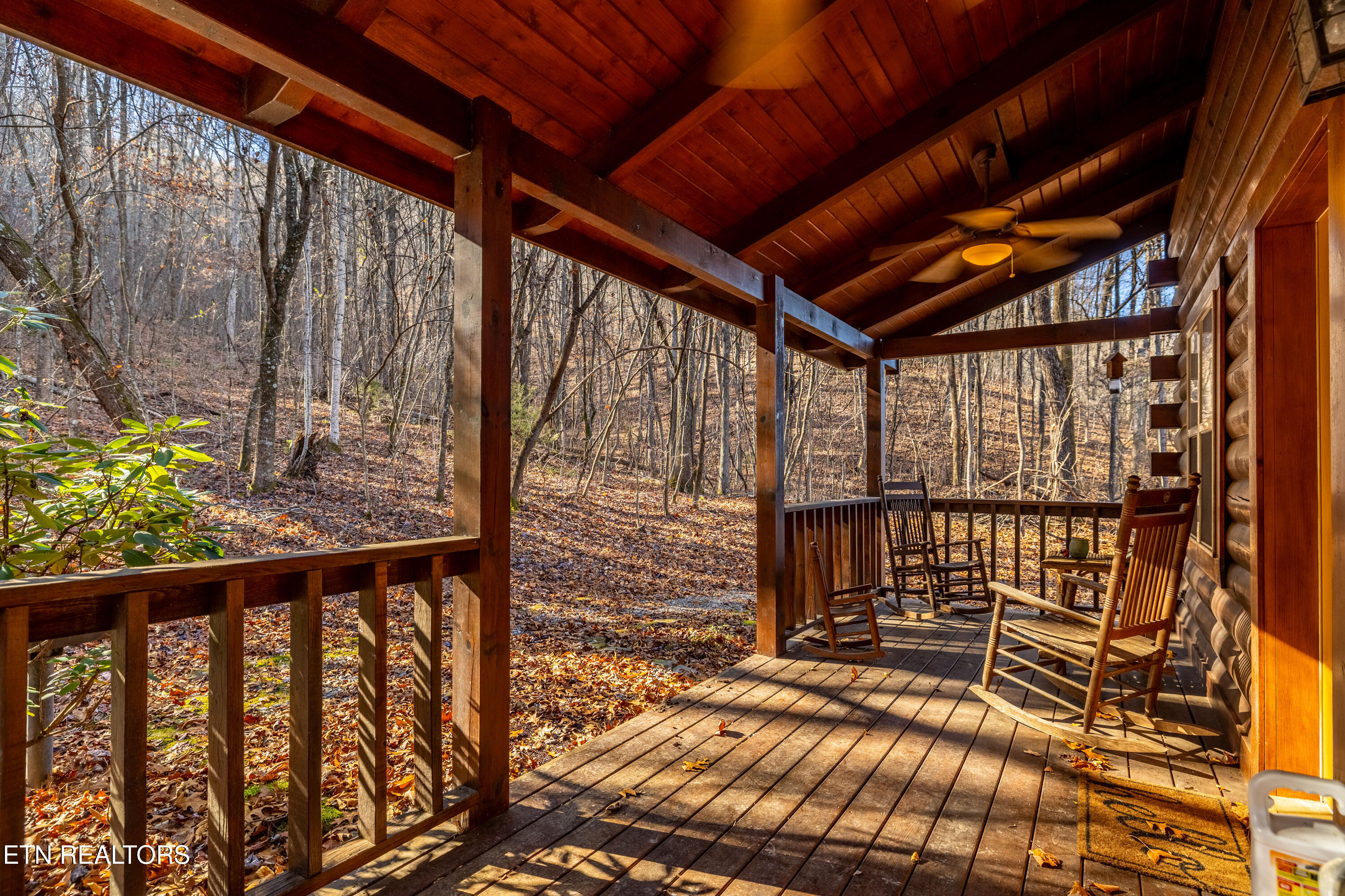 438 Forest Service Road Englewood, TN 37329 - Photo 25 of 30 438StarrMountainRd-8