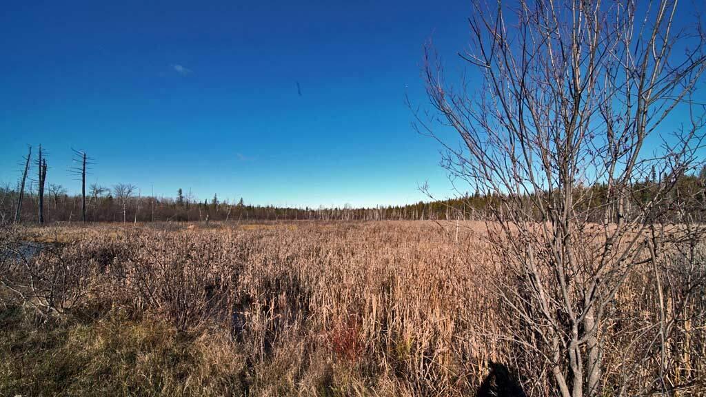 Lot 33-2 Brewer Road Orient, ME 04471 - Photo 15 of 27 brewer-rd-land-3