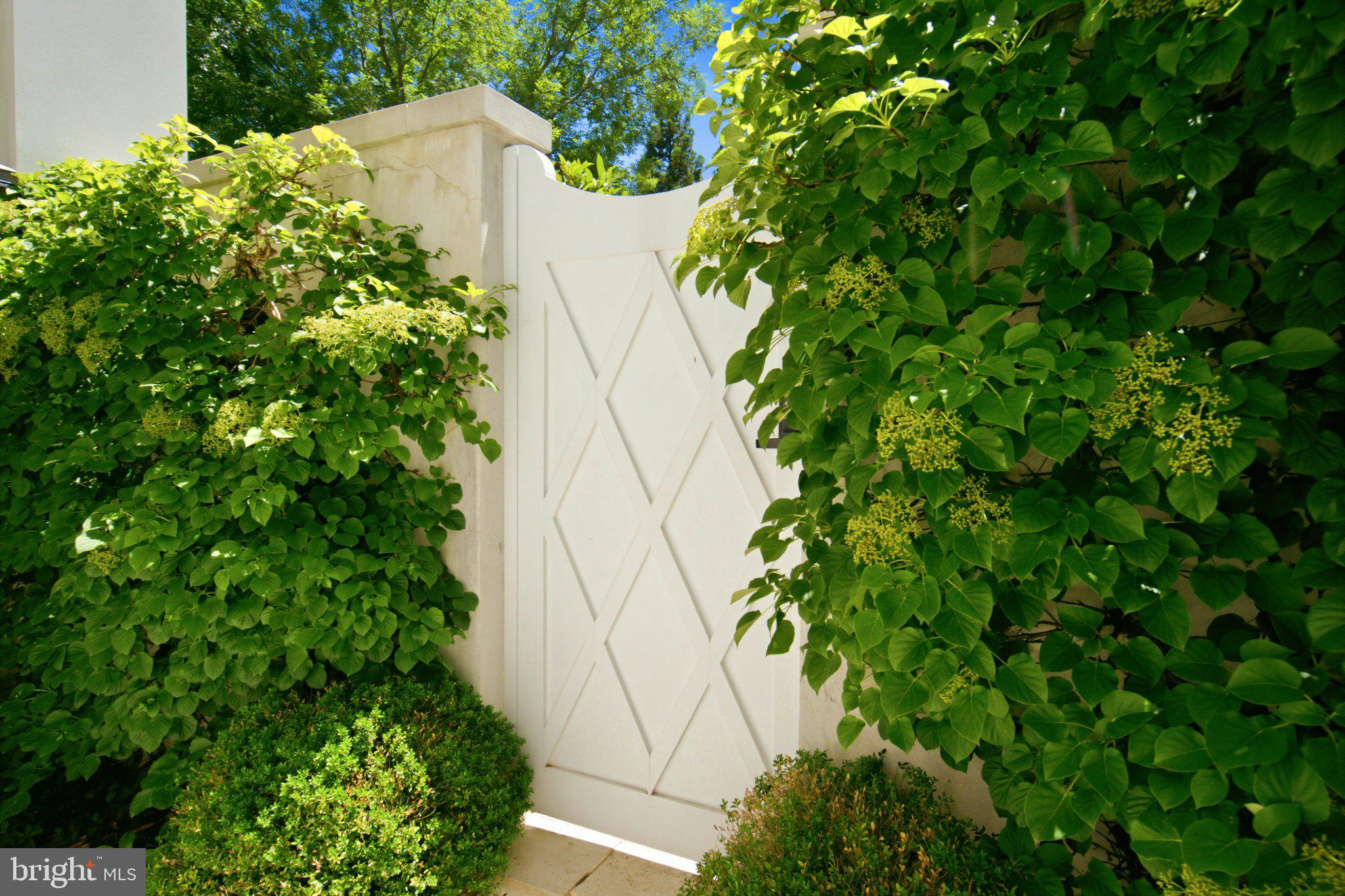 2109 Dunmore Lane Washington, DC 20007 - Photo 25 of 78 Charming garden gate in lush greenery.