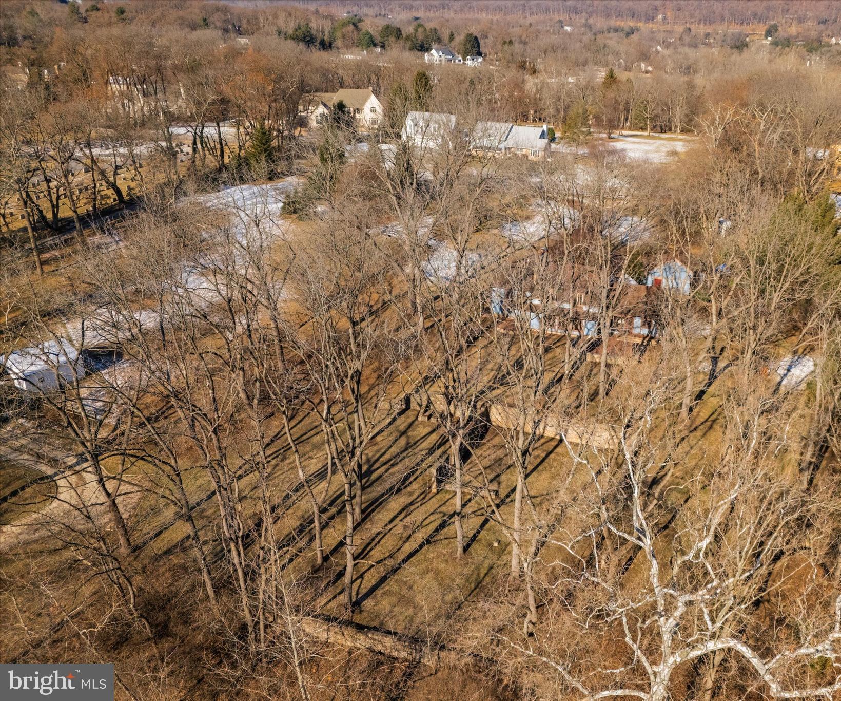 1991 Swedesford Road Malvern, PA 19355 - Photo 51 of 67 South side includes a large grove of Walnut trees
