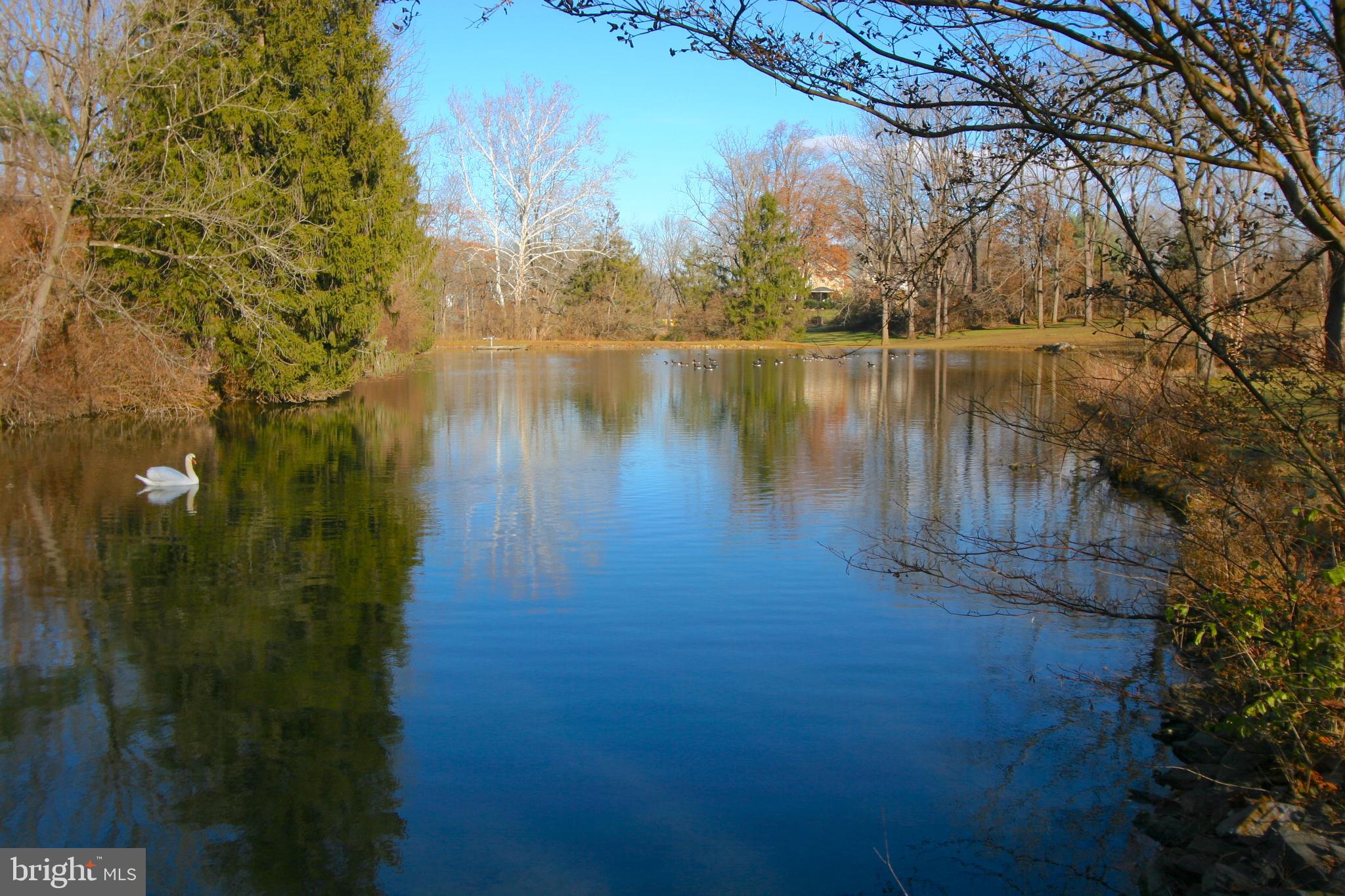 1991 Swedesford Road Malvern, PA 19355 - Photo 54 of 67 A pair of swans live on the pond! (bass & catfish)