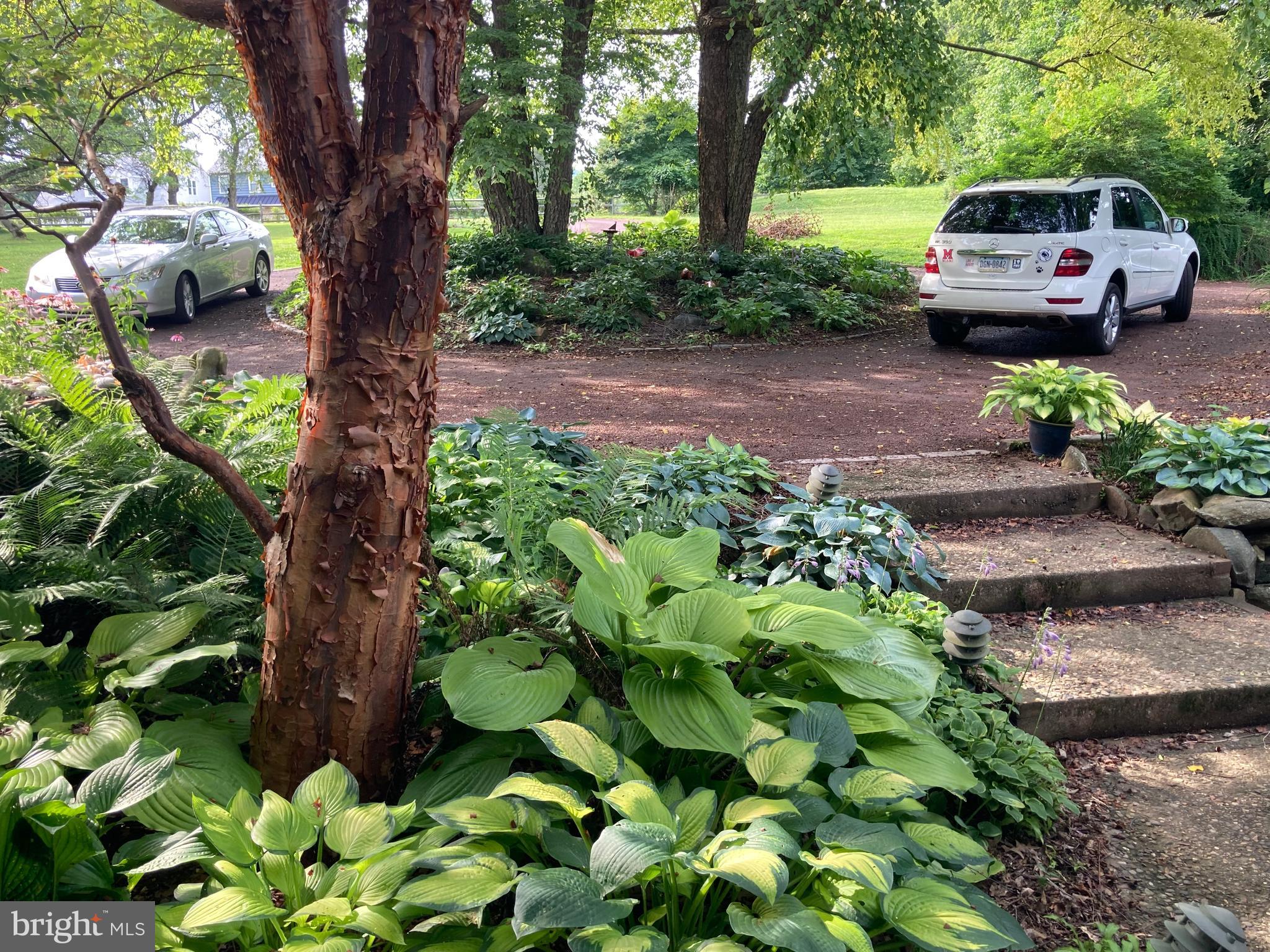 1991 Swedesford Road Malvern, PA 19355 - Photo 58 of 67 Circular driveway in summer