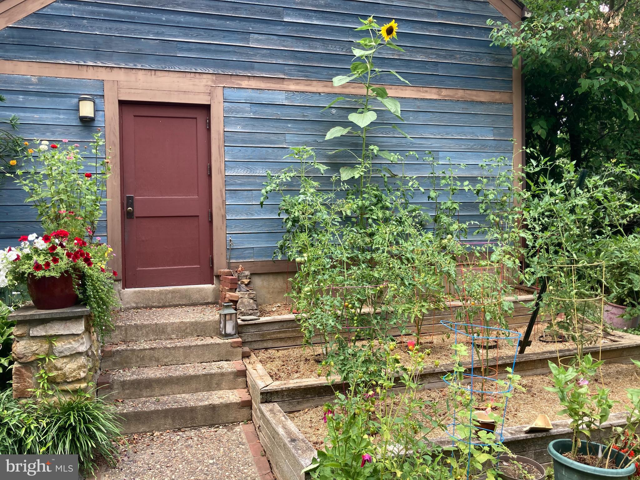 1991 Swedesford Road Malvern, PA 19355 - Photo 65 of 67 Summer vegetable garden and flowers!