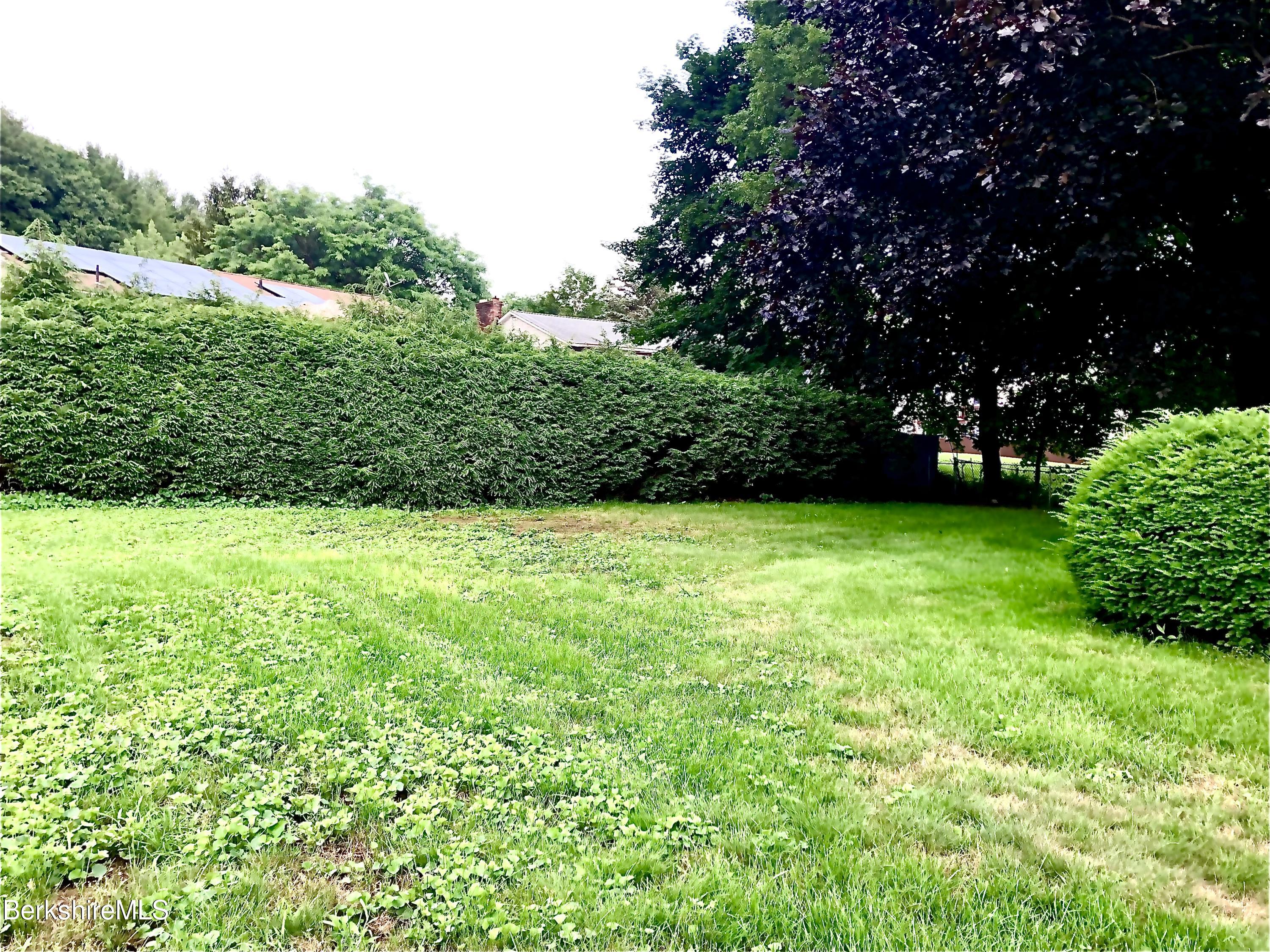40 Howe Road Pittsfield, MA 01201 - Photo 50 of 55 Back Yard View 1