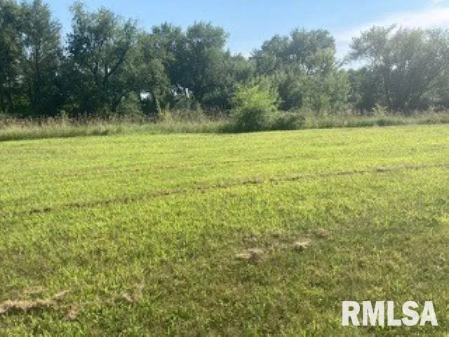 $45,000 | 3829 229th St Circle North, Unit NORTH, Port Byron, IL 61275