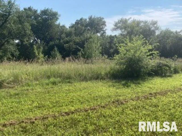 $45,000 | 3829 229th St Circle North, Unit NORTH, Port Byron, IL 61275