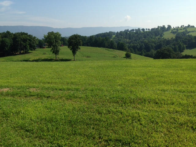 Dalton Road Harrogate, TN 37752 - Photo 1 of 7 ROLLING PASTURE LAND