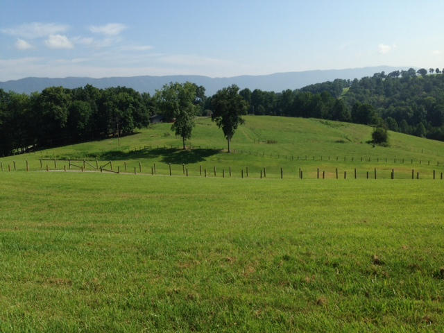 Dalton Road Harrogate, TN 37752 - Photo 2 of 7 BEAUTIFUL FENCED PASTURE