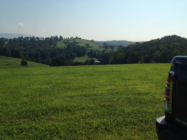 Dalton Road Harrogate, TN 37752 - Photo 5 of 7 THE VIEW