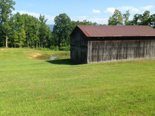 Dalton Road Harrogate, TN 37752 - Photo 6 of 7 BARN AND POND ON THIS PROPERTY