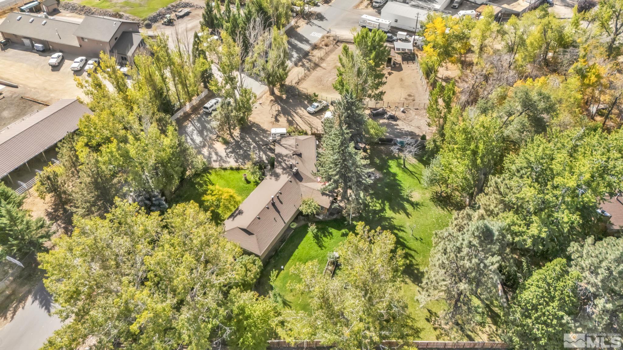 55 Surrey Drive Reno, NV 89521 - Photo 33 of 40 a close up of a tree in a garden