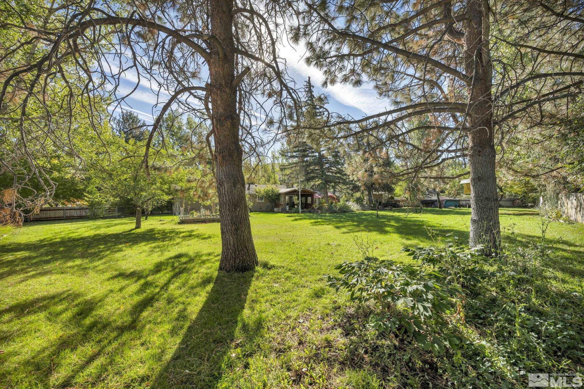 55 Surrey Drive Reno, NV 89521 - Photo 35 of 40 a view of yard with swimming pool