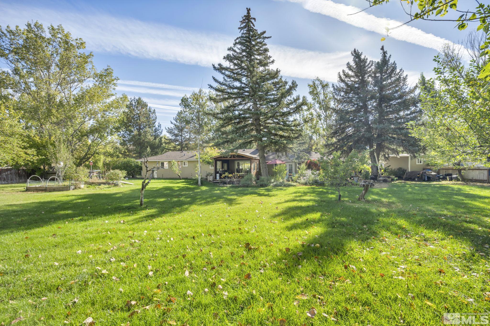 55 Surrey Drive Reno, NV 89521 - Photo 39 of 40 a view of a park with large trees