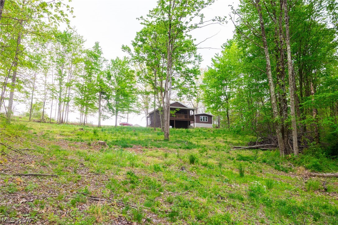 37795 Sheepskin Ridge Road Lower Salem, OH 45745 - Photo 15 of 31